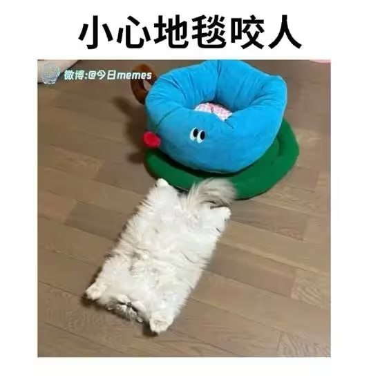 via 7号沙雕网友