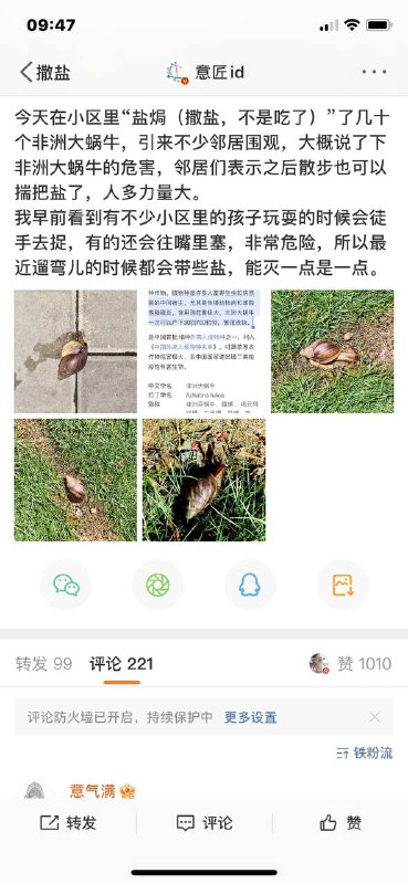 尖沙咀狂徒洒盐虐杀蜗牛！来源尖沙咀狂徒洒盐虐杀蜗牛！来源