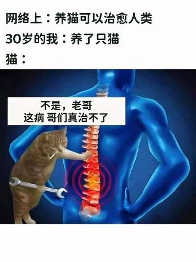 via 张某 犯罪嫌疑人
