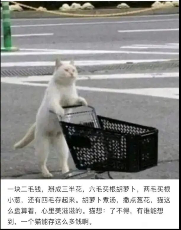 from 煎蛋无聊图