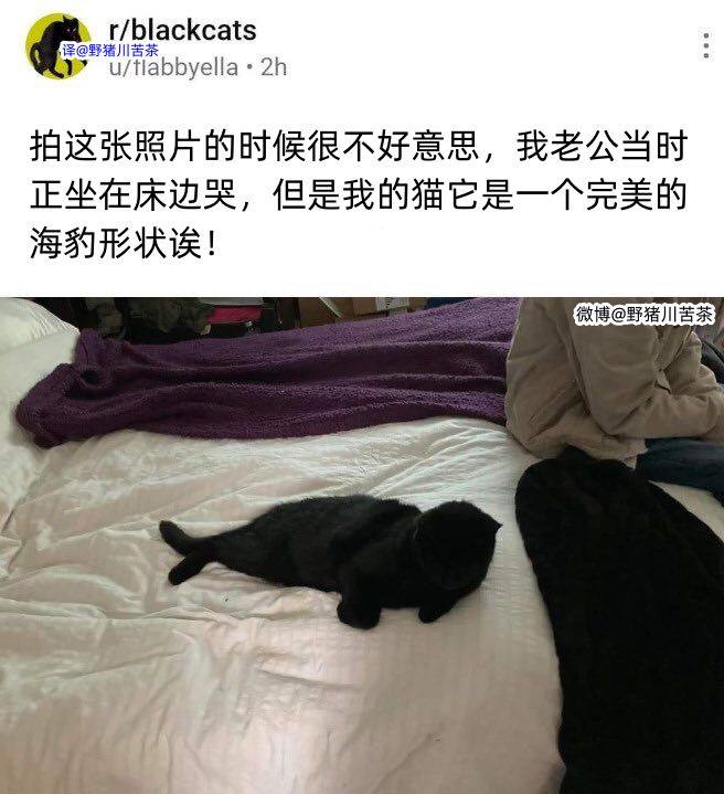 via 张某 犯罪嫌疑人
