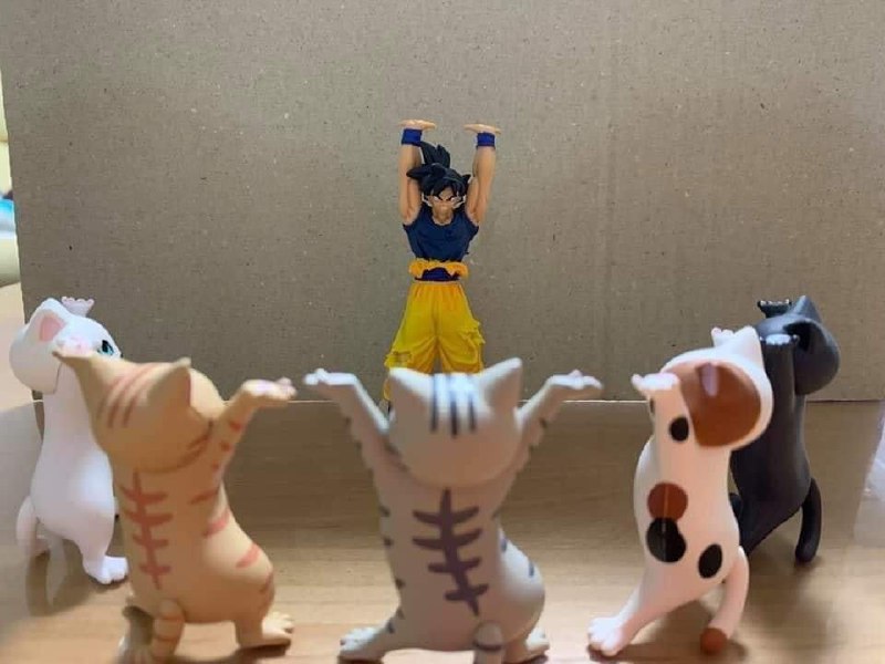 #投稿#投稿
