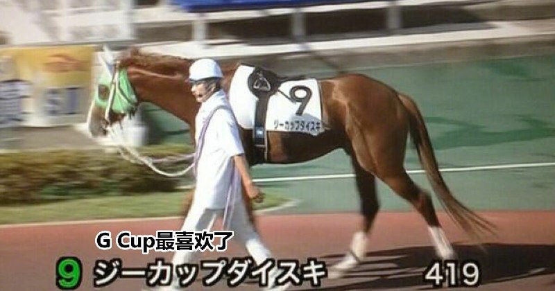 霓虹网友发现，赛马场上的马的名字，好像都有点奇奇怪怪的from Uro_Pic_Channel via ro u霓虹网友发现，赛马场上的马的名字，好像都有点奇奇怪怪的from Uro_Pic_Channel via ro u