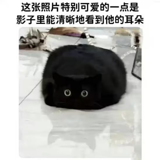 via 7号沙雕网友