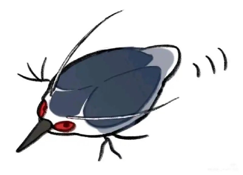 审核注：有虫审核注：有虫