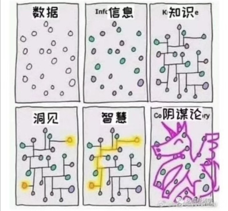 数据做了标识，就成了信息信息规整好就是知识抓住知识相关的关键点就是洞见得到关键点的路径就是智慧瞎几把乱想的都是阴谋论