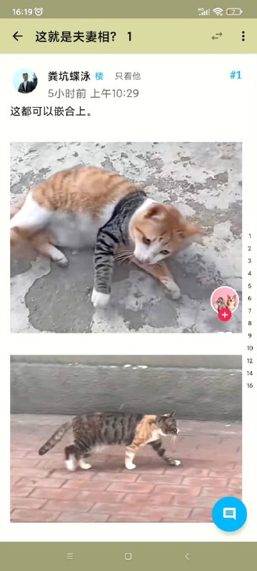 via Haiun Bccny