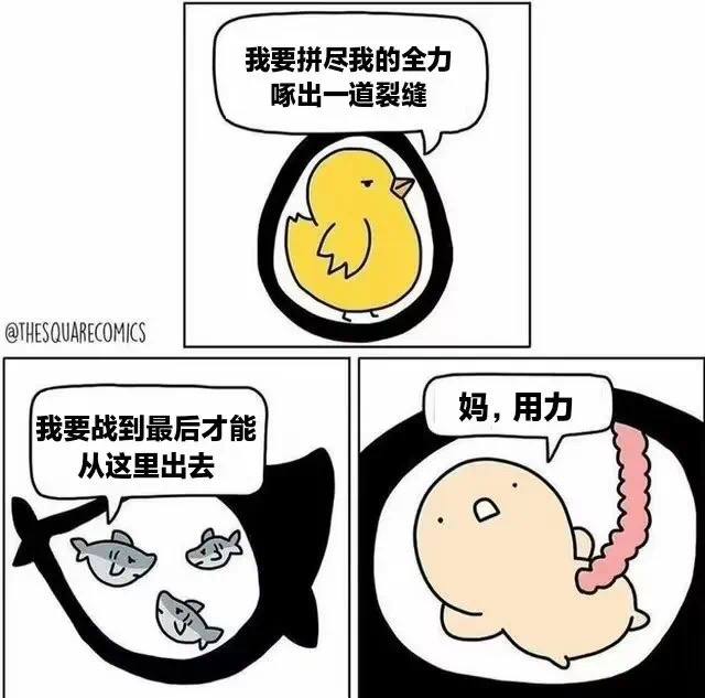via Feng Chang