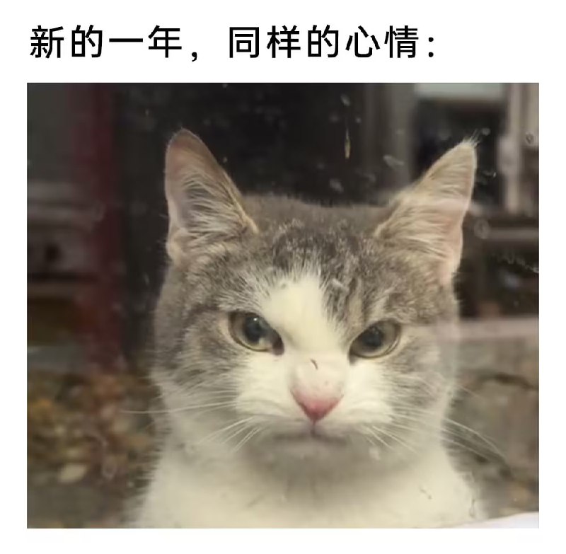 via 7号沙雕网友