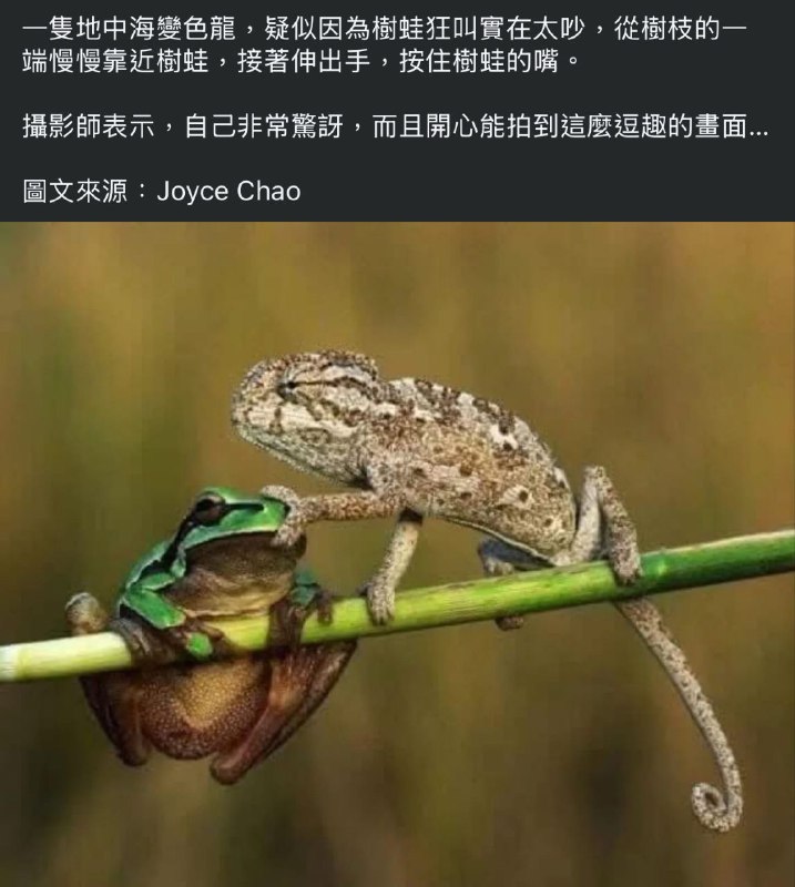 from 擘 via 满穗