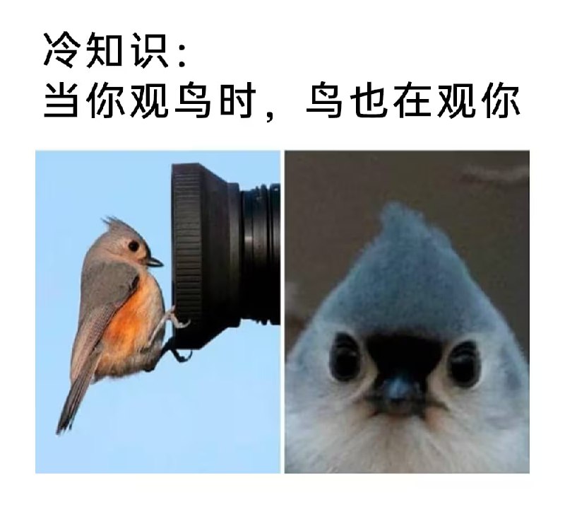 via 7号沙雕网友
