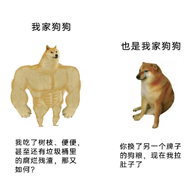 via 6号沙雕网友