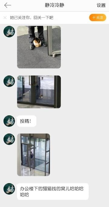 🐶：为什么要区别对待我🐶：为什么要区别对待我