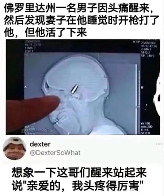 佛州大舞台，没活儿你别来