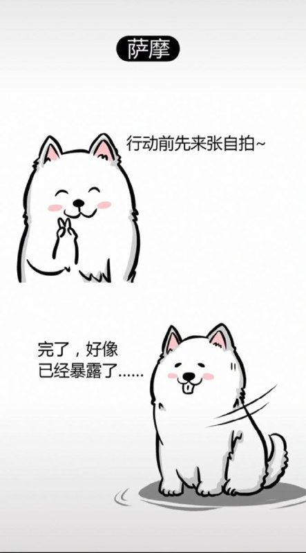 为什么有些狗不能做警犬 #精品为什么有些狗不能做警犬 #精品