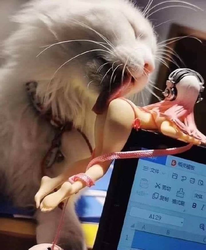 #NSFW