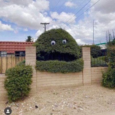来点绿植via (=^-ω-^=) ㅤ来点绿植via (=^-ω-^=) ㅤ