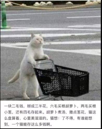 via 犯罪嫌疑人张某via 犯罪嫌疑人张某