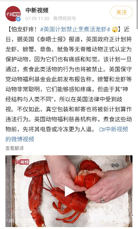 端上桌后，真香from ㅤ