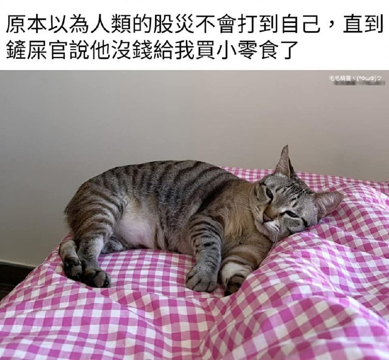 from 什麼都來點 via DECADE