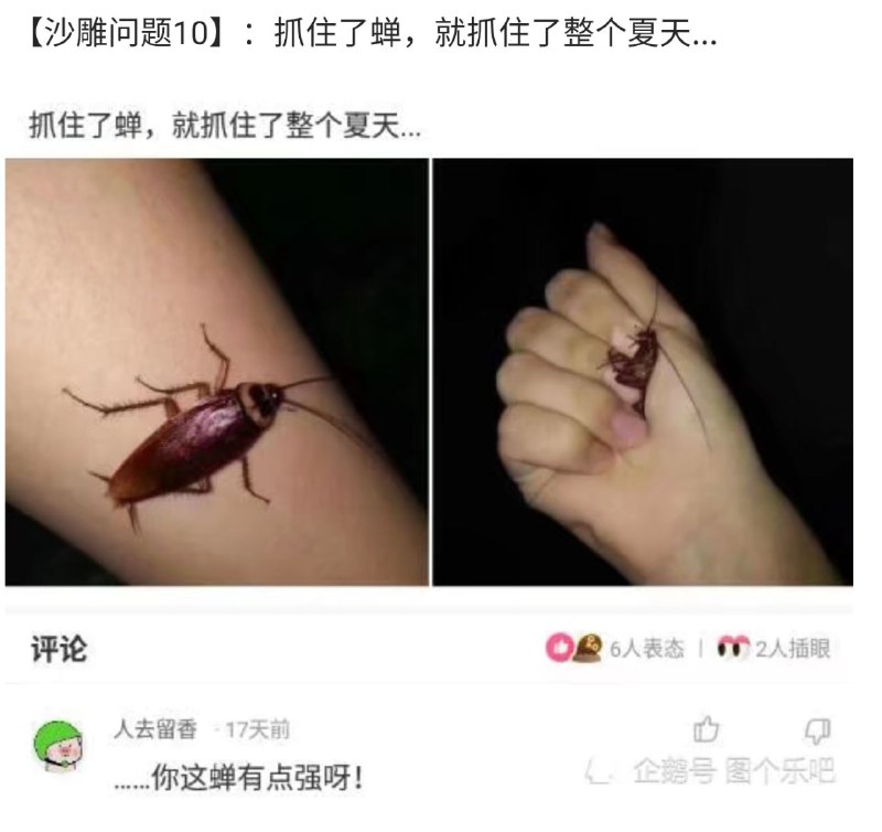 ？？？这蟑螂啊from xiayesuifeng