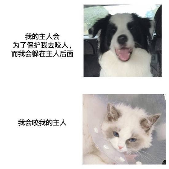 via 7号沙雕网友