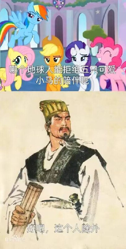 via 张某 犯罪嫌疑人