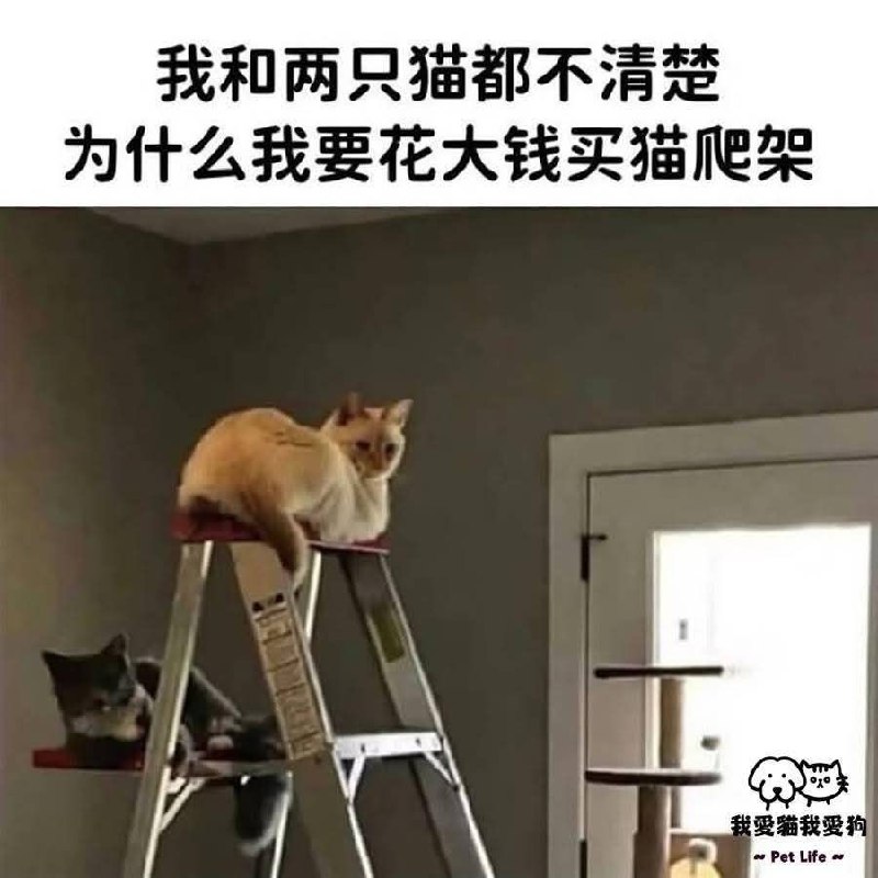 from 什麼都來點 via DECADE