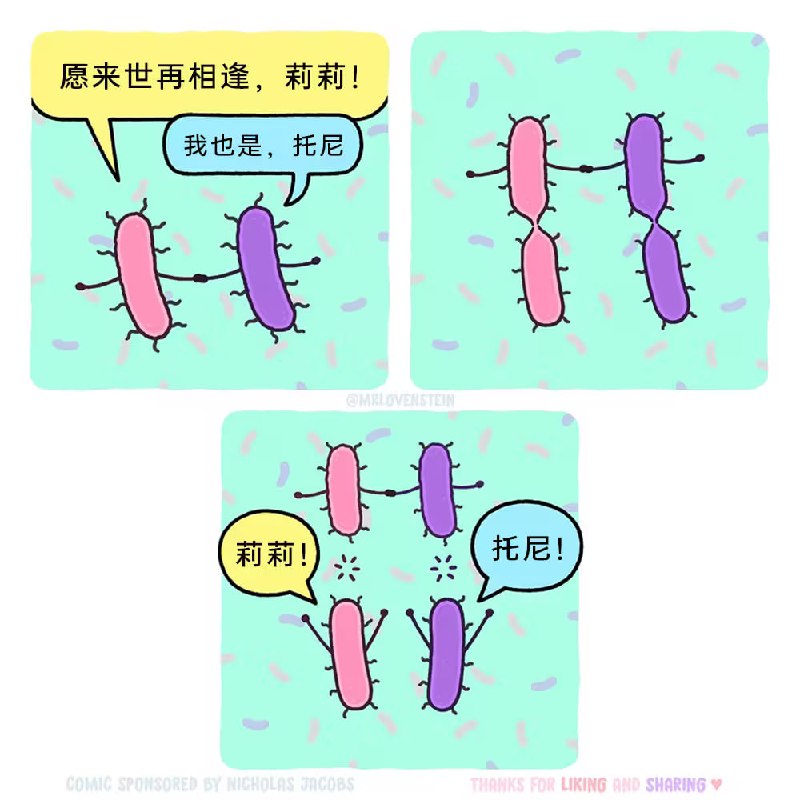 via 7号沙雕网友