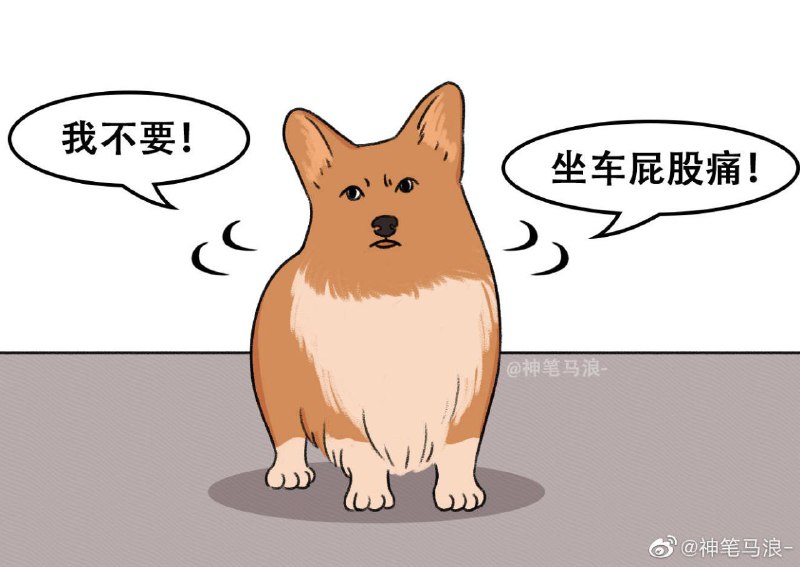 #狗狗#狗狗