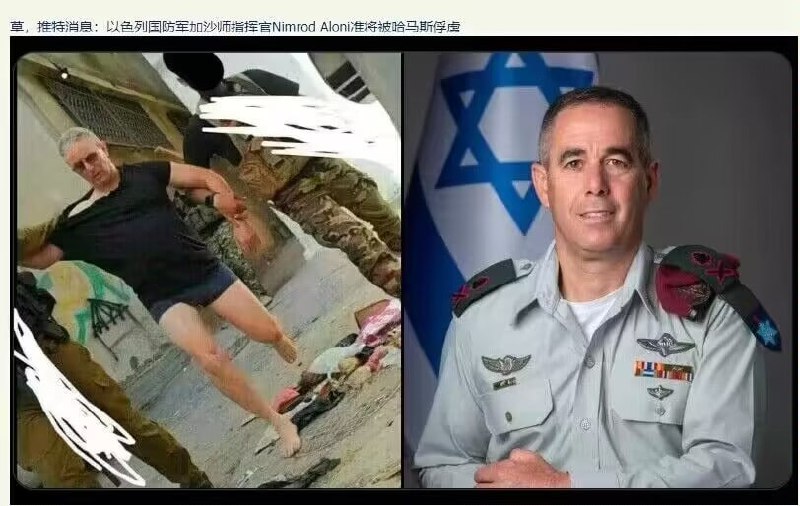 草 乐子大了