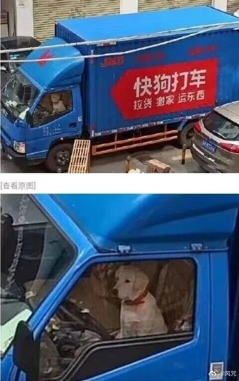 摇完头就去兼职