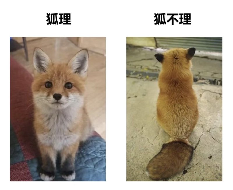 from QQ空间