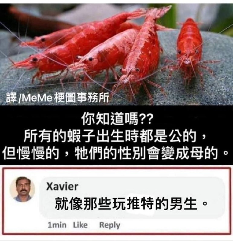 via DECADE