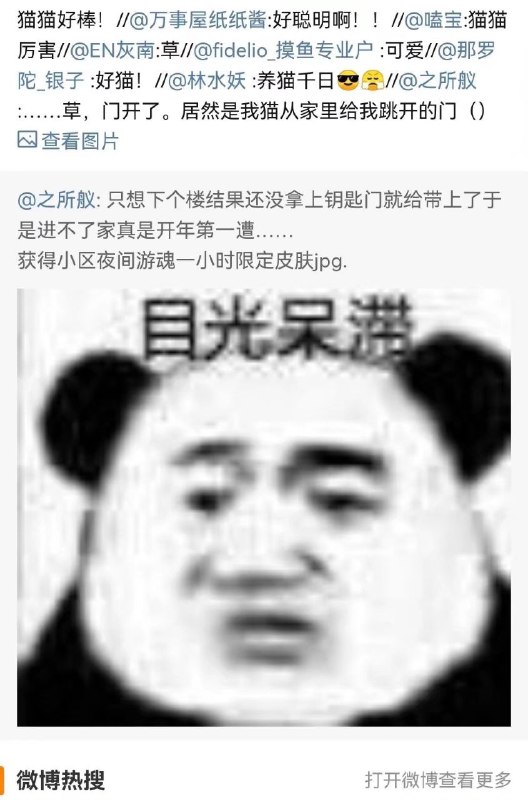 养猫千日from Foolish TraceWind