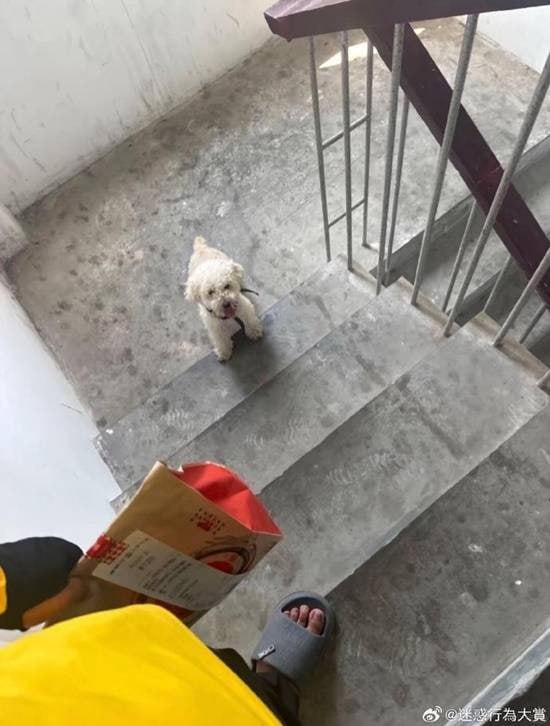 via 7号沙雕网友via 7号沙雕网友