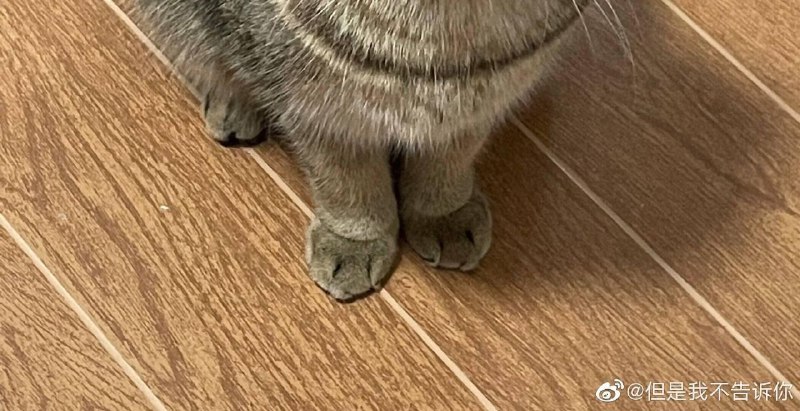 jio控福利via 拆 迁jio控福利via 拆 迁