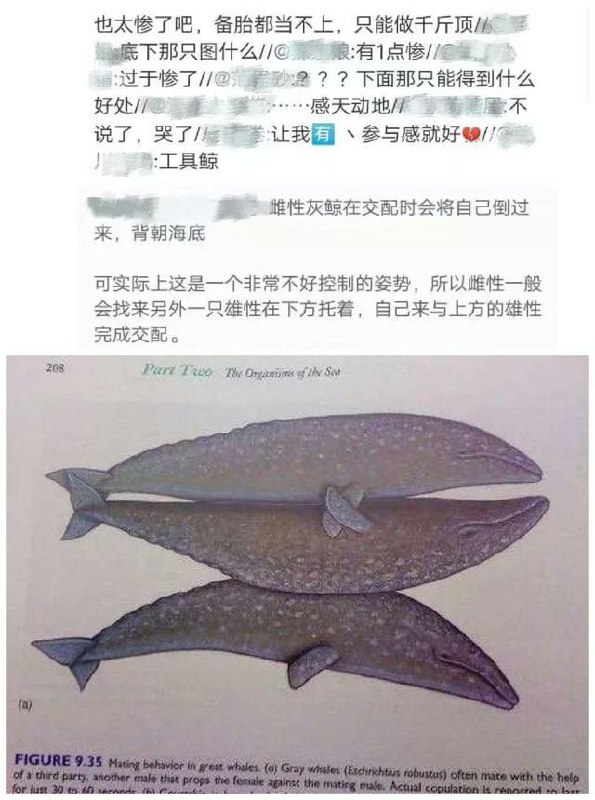 匿名投稿from 心惊报 （史东薇尔分报
