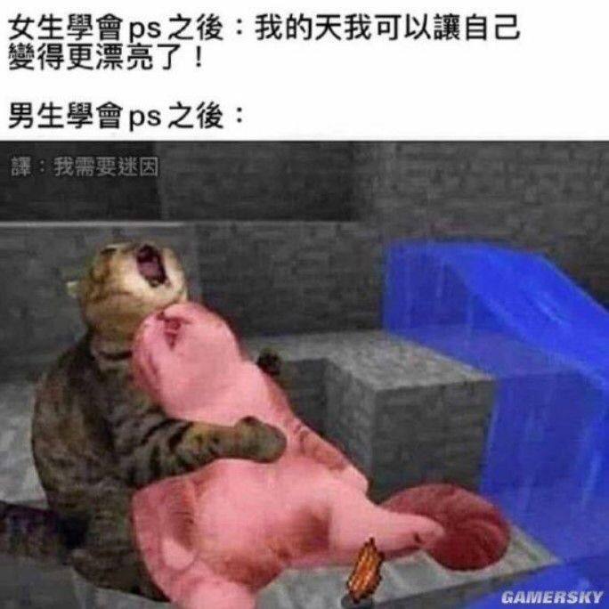 via 张某 犯罪嫌疑人
