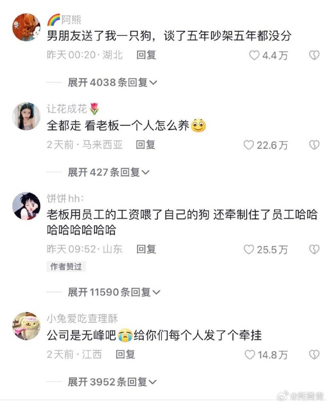 公司给员工每人一只狗 好歹毒的公司公司给员工每人一只狗 好歹毒的公司