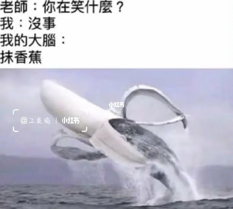 via LDLD 果冻via LDLD 果冻