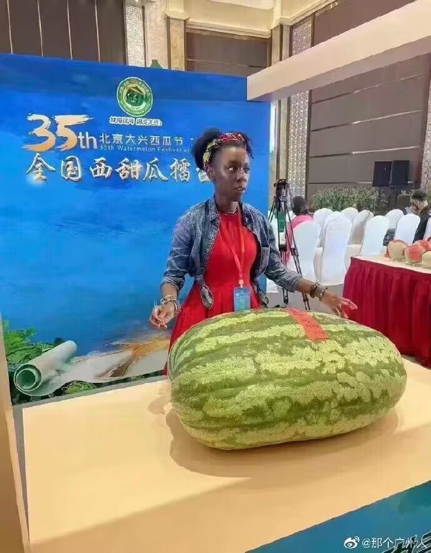 from 好像吃饭了 via efsg