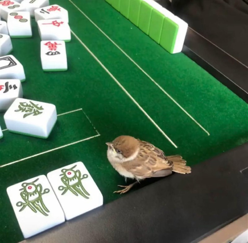 碰！
