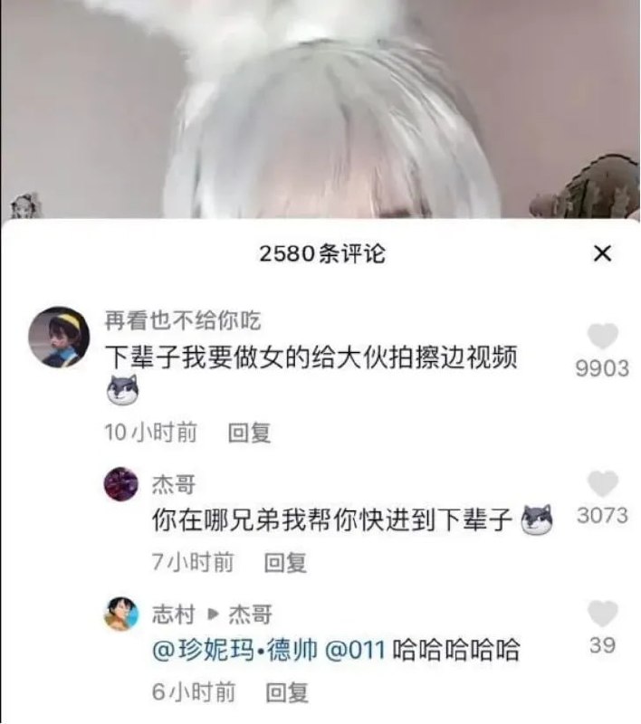 from 平壤卫视