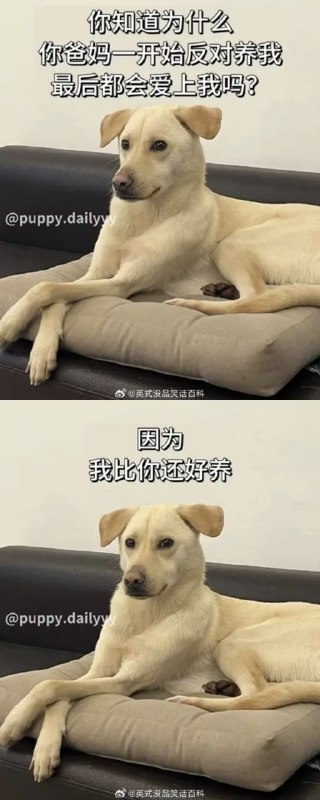 via 7号沙雕网友