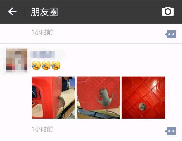老鼠：？？？老鼠：？？？