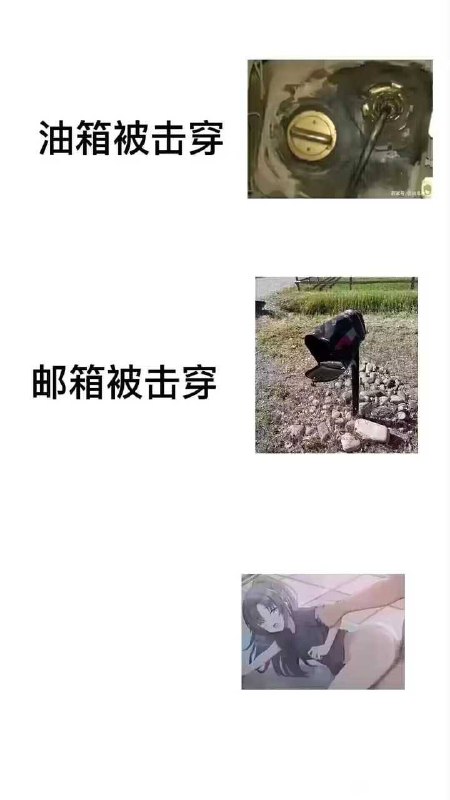 from 平壤卫视