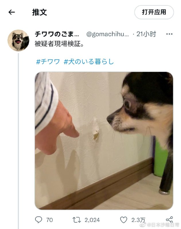 嫌疑人指认案发现场[doge]嫌疑人指认案发现场[doge]