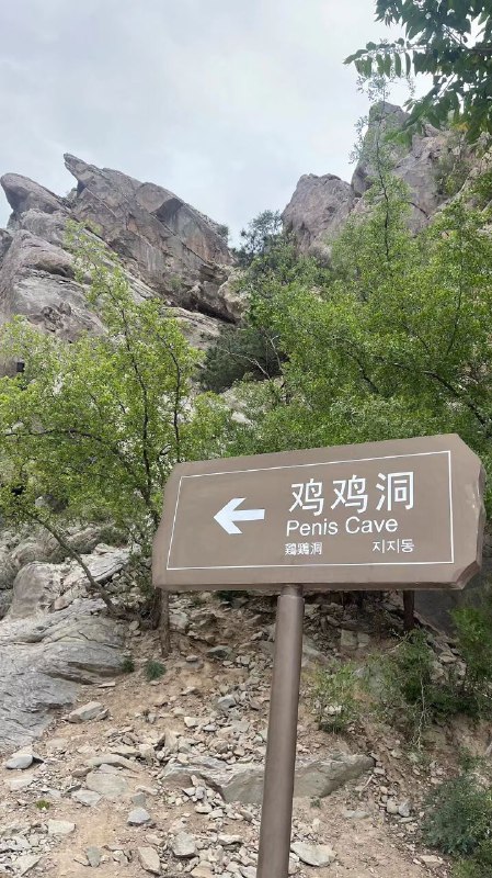 via 猫彦祖