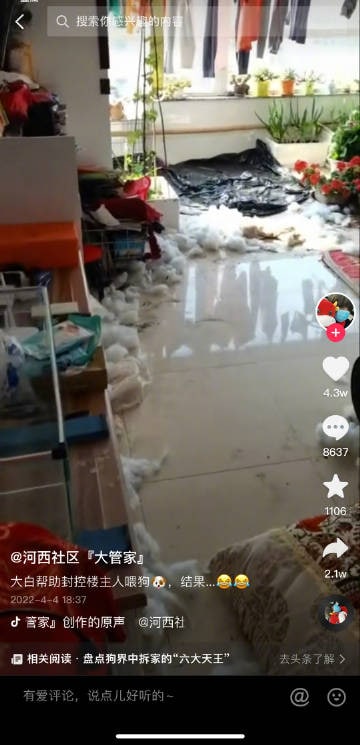 沈阳一社区，大白帮被隔离的居民上门喂狗